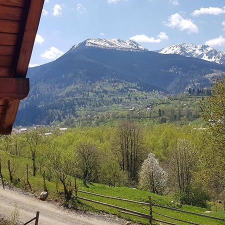 Transylvania House Borşa エクステリア 写真